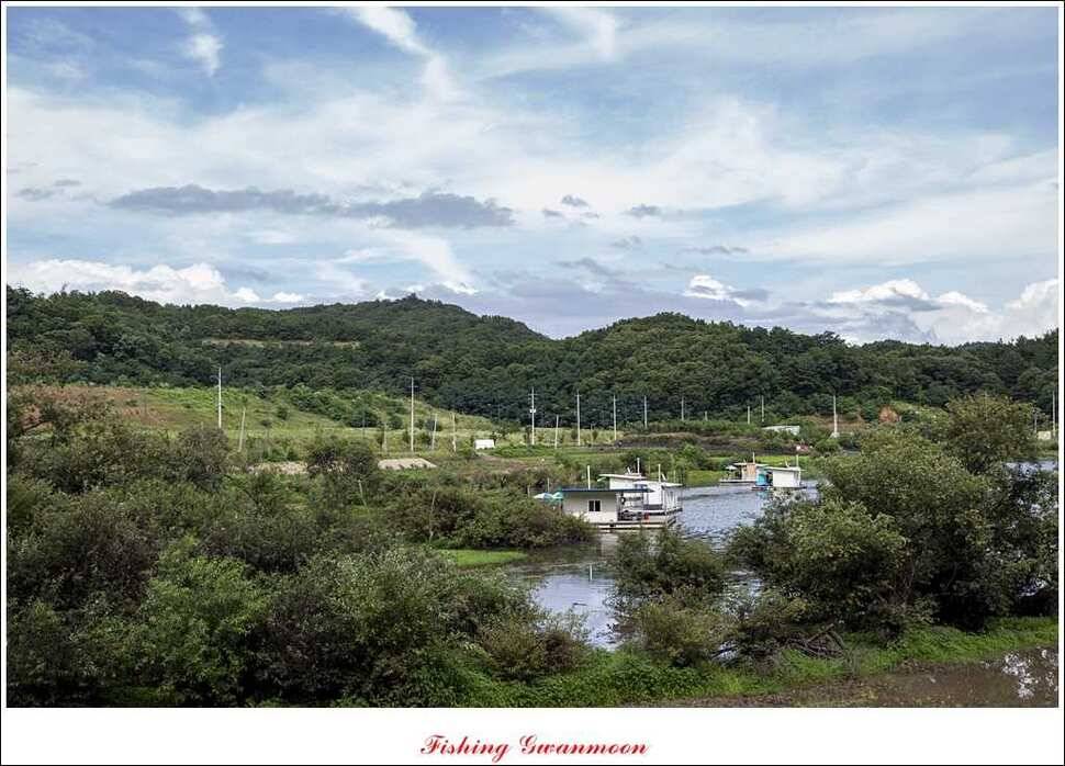 충주호 오름수위화곡지 조황 (조황조행기 - 특파원조황)