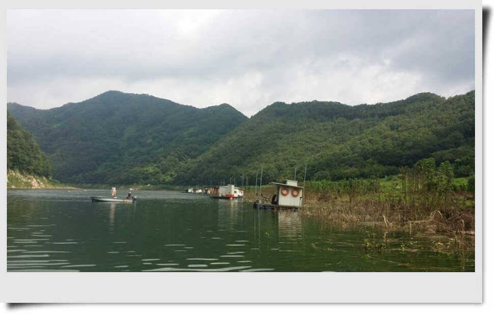 충주호 명서 4짜붕어 목벌 대물장어 (조황조행기 - 특파원조황)