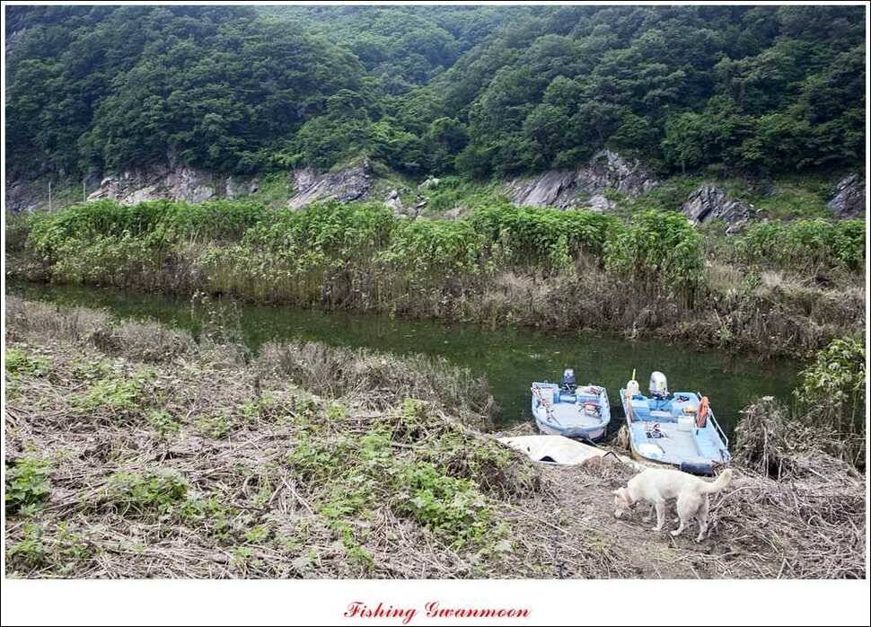 추평지 사짜명서 월척 (조황조행기 - 특파원조황)