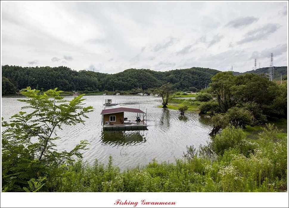충주호 오름수위화곡지 조황 (조황조행기 - 특파원조황)
