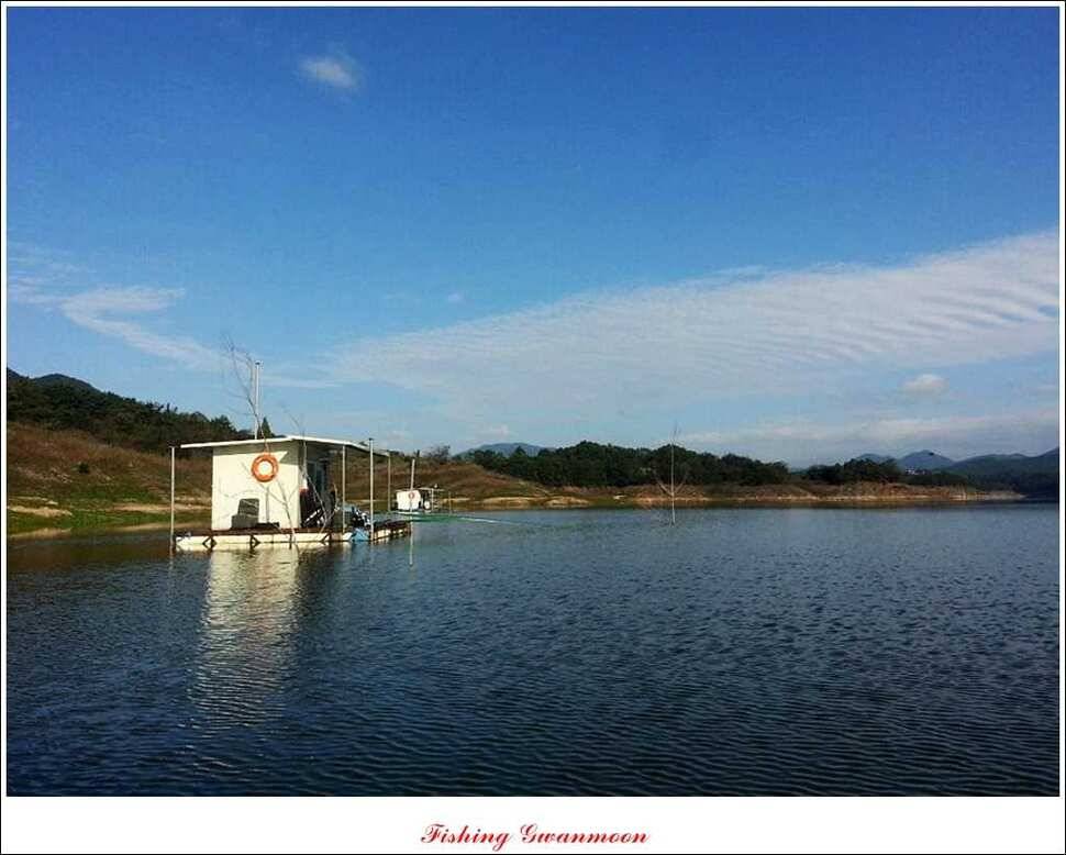 돌감 좌대 마릿수 월척 (조황조행기 - 특파원조황)