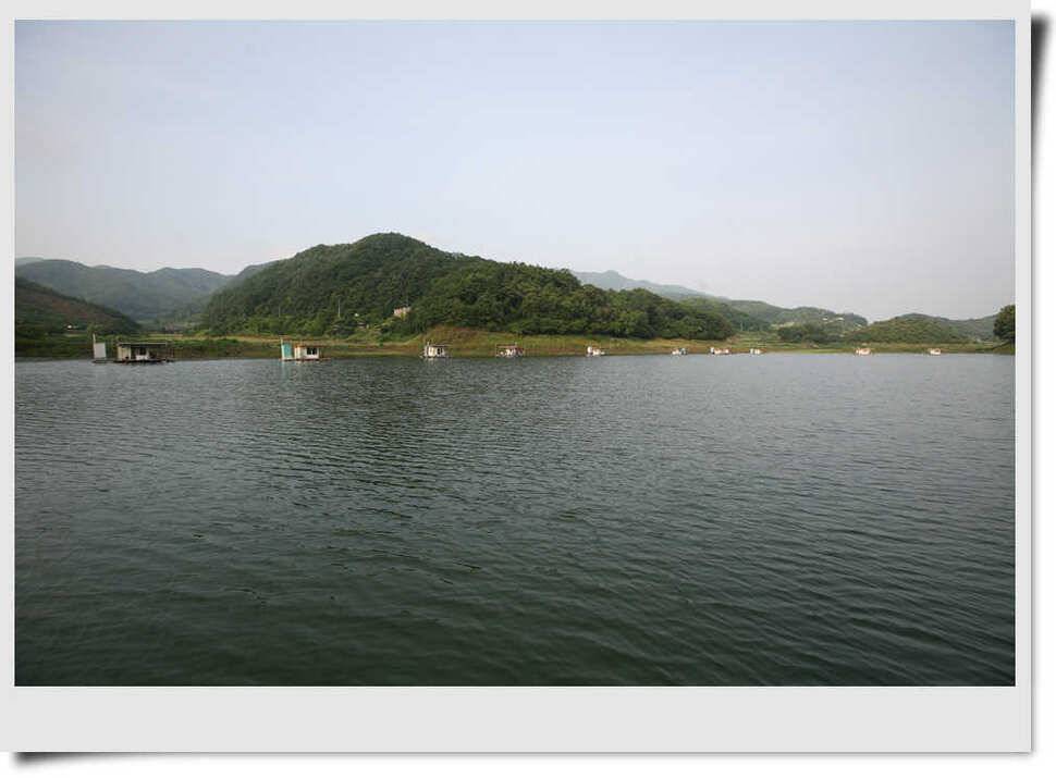 충주호 명서 4짜붕어 목벌 대물장어 (조황조행기 - 특파원조황)