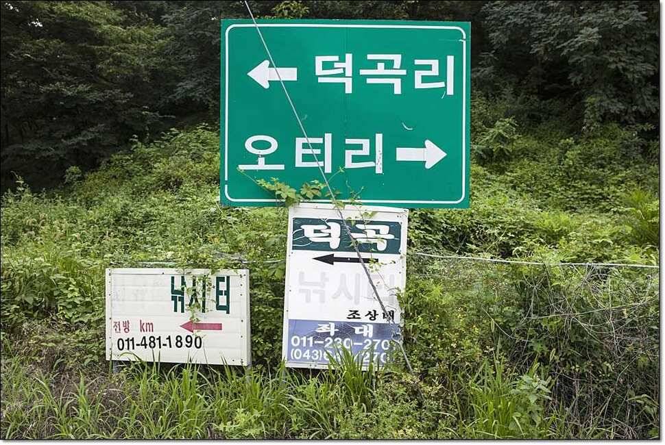 덕곡 사짜한버들신매 월척 (조황조행기 - 특파원조황)