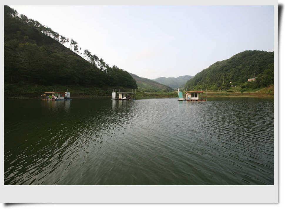 충주호 명서 4짜붕어 목벌 대물장어 (조황조행기 - 특파원조황)