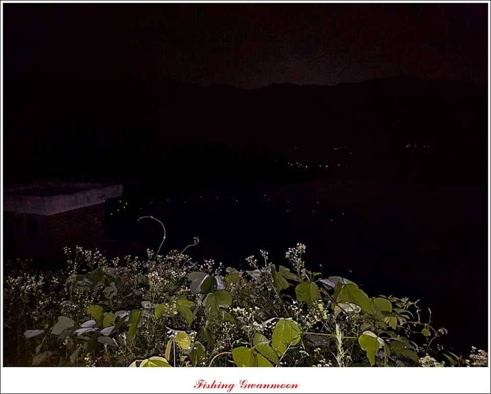 충주호 오름수위화곡지 조황 (조황조행기 - 특파원조황)
