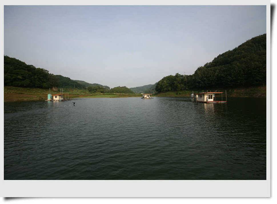 충주호 명서 4짜붕어 목벌 대물장어 (조황조행기 - 특파원조황)