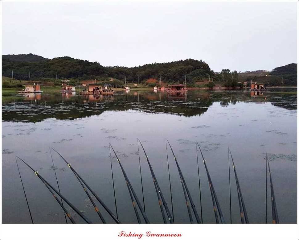충주호 오름수위화곡지 조황 (조황조행기 - 특파원조황)