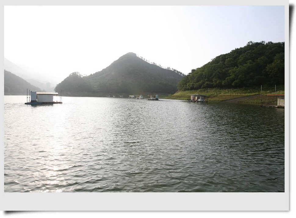 충주호 명서 4짜붕어 목벌 대물장어 (조황조행기 - 특파원조황)