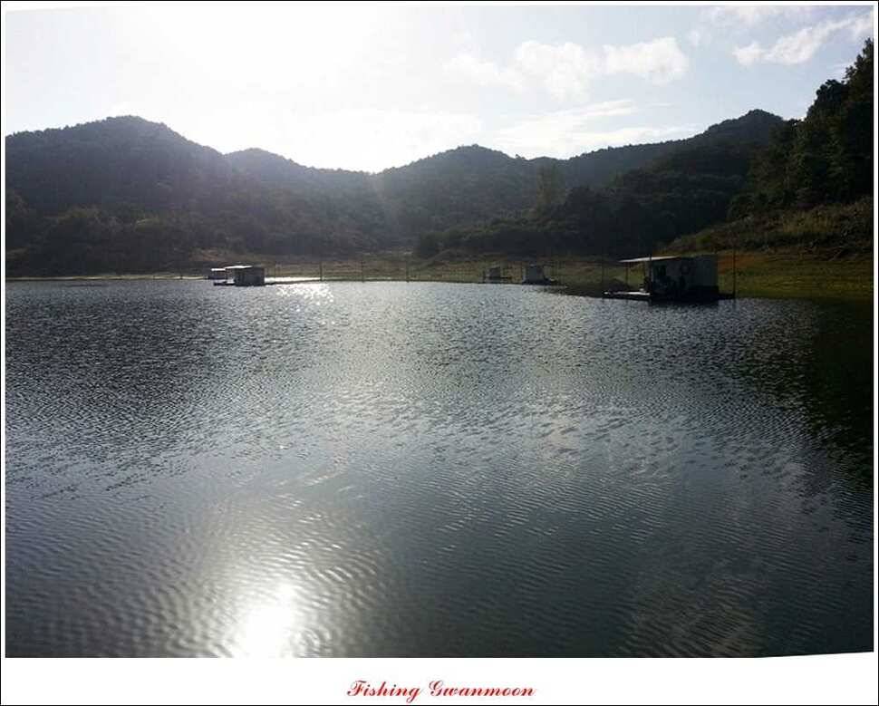 돌감 좌대 마릿수 월척 (조황조행기 - 특파원조황)