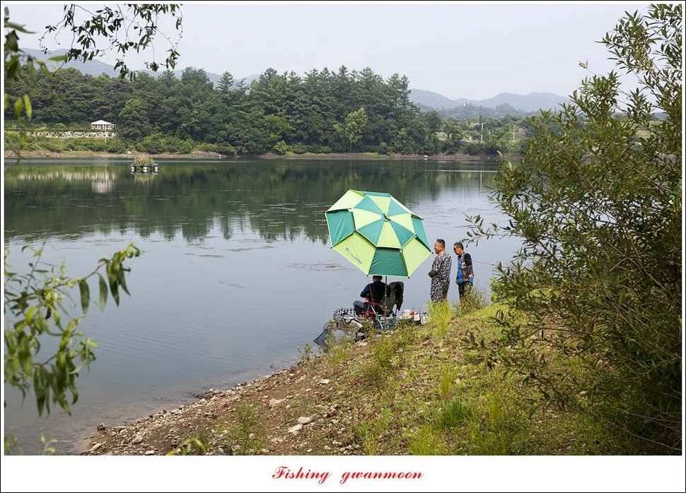 한버들 435 cm칠성지 42 cm (조황조행기 - 특파원조황)