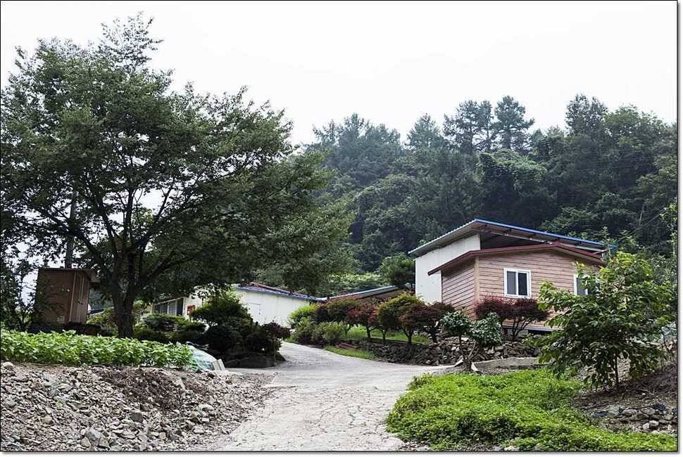 덕곡 사짜한버들신매 월척 (조황조행기 - 특파원조황)