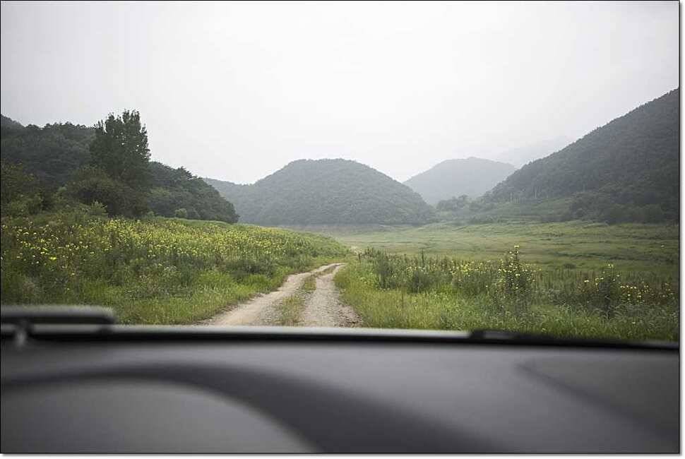 덕곡 사짜한버들신매 월척 (조황조행기 - 특파원조황)