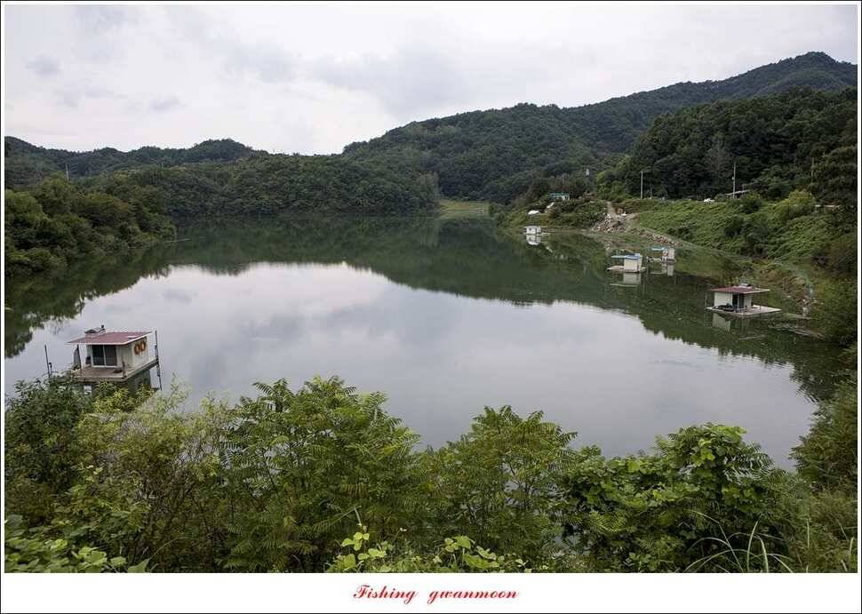병호실리곡칠성지 허리급 월척 조황 (조황조행기 - 특파원조황)