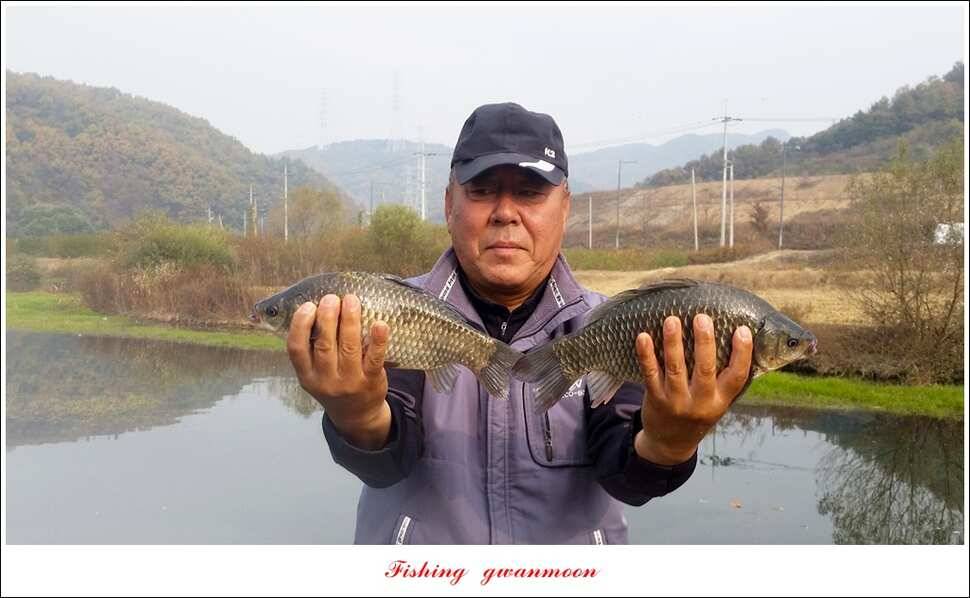 화곡지한버들돌감실리곡신매 조황 (조황조행기 - 특파원조황)