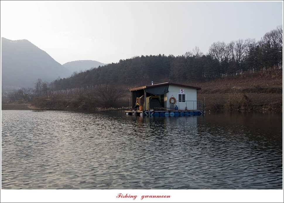 제일 낚시터 조황 (조황조행기 - 특파원조황)