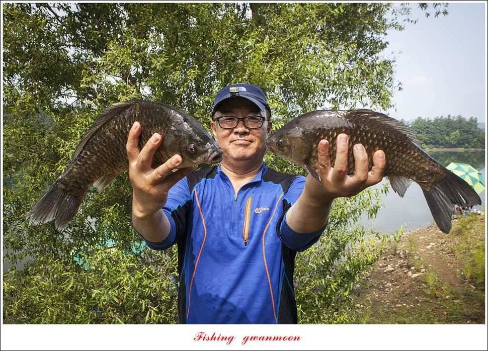 한버들 435 cm칠성지 42 cm (조황조행기 - 특파원조황)