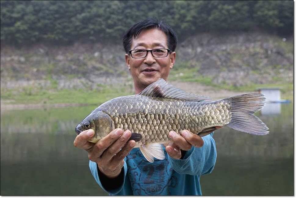 덕곡 사짜한버들신매 월척 (조황조행기 - 특파원조황)