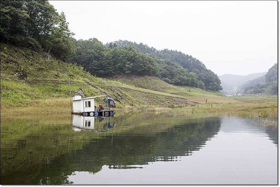 덕곡 사짜한버들신매 월척 (조황조행기 - 특파원조황)