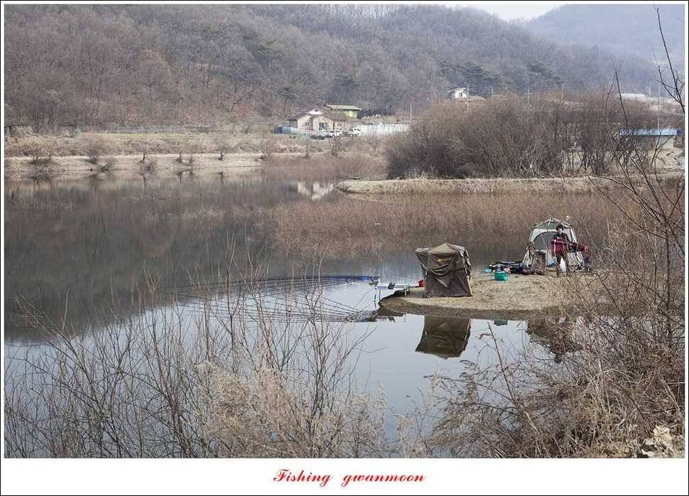 충주괴산권 조황 (조황조행기 - 특파원조황)