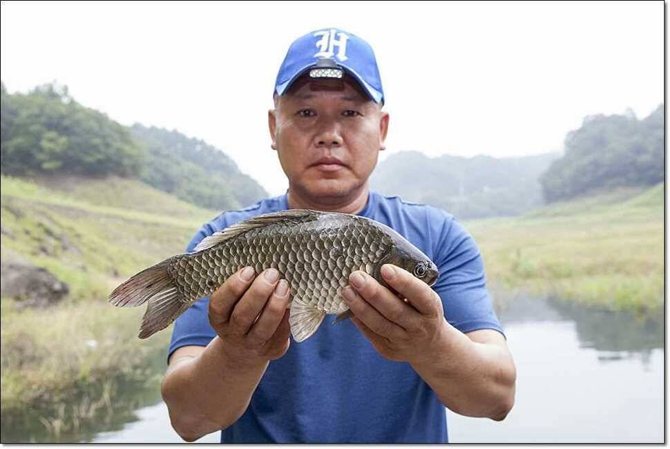 덕곡 사짜한버들신매 월척 (조황조행기 - 특파원조황)