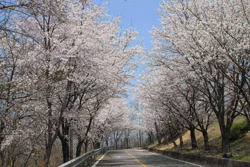 완제지 등 씨알에 마릿수까지 (조황조행기 - 특파원조황)