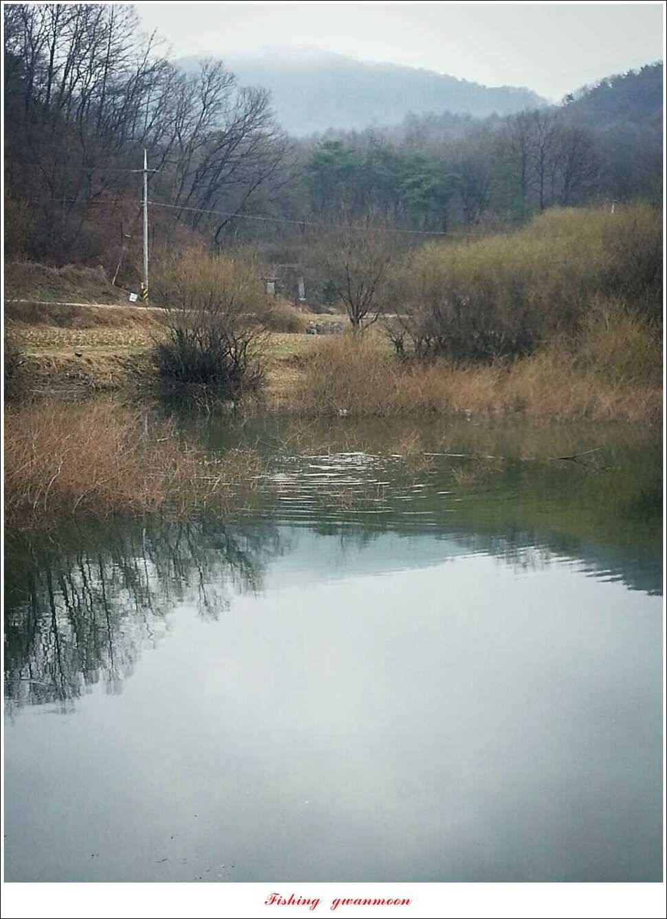 매전지화곡지 조황 (조황조행기 - 특파원조황)