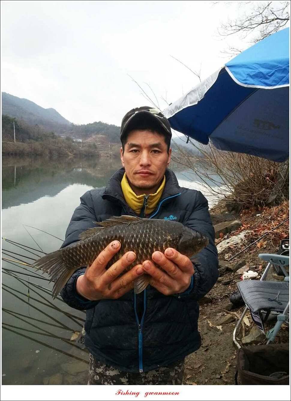 매전지화곡지 조황 (조황조행기 - 특파원조황)