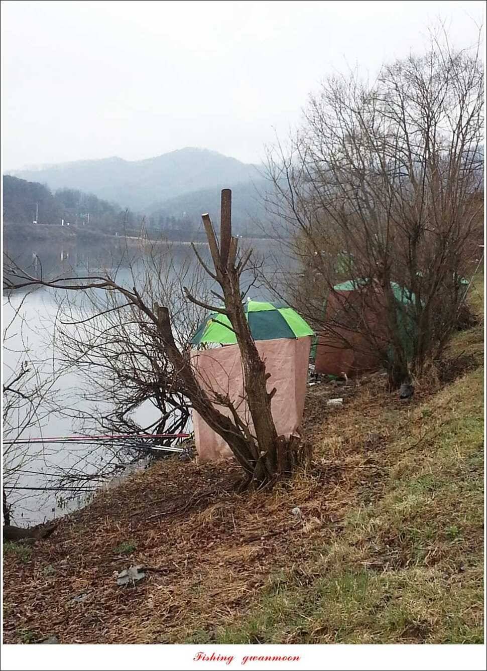 매전지화곡지 조황 (조황조행기 - 특파원조황)
