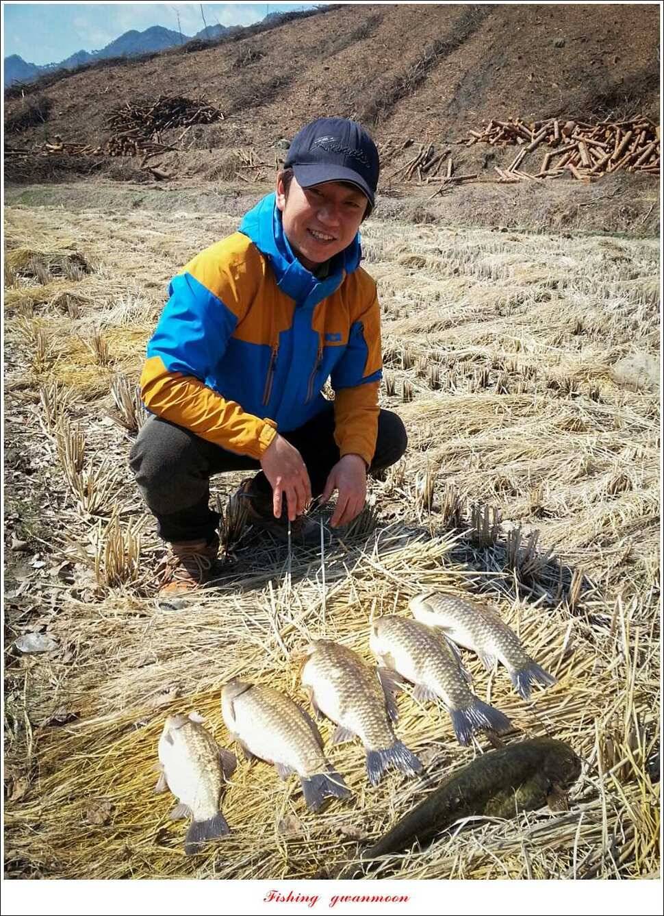 매전지화곡지 조황 (조황조행기 - 특파원조황)