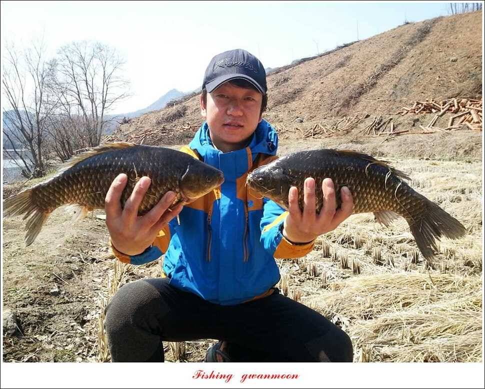 매전지화곡지 조황 (조황조행기 - 특파원조황)
