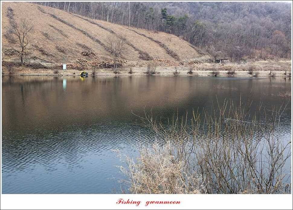 매전지 월척충주호 좌대노지 현황 (조황조행기 - 특파원조황)