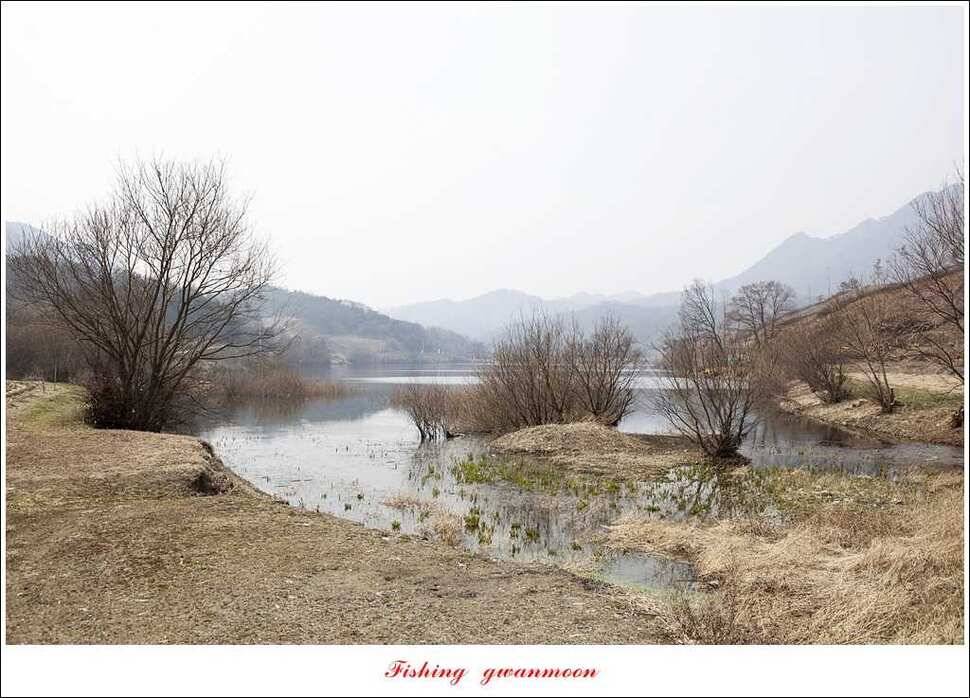 매전지 월척충주호 좌대노지 현황 (조황조행기 - 특파원조황)