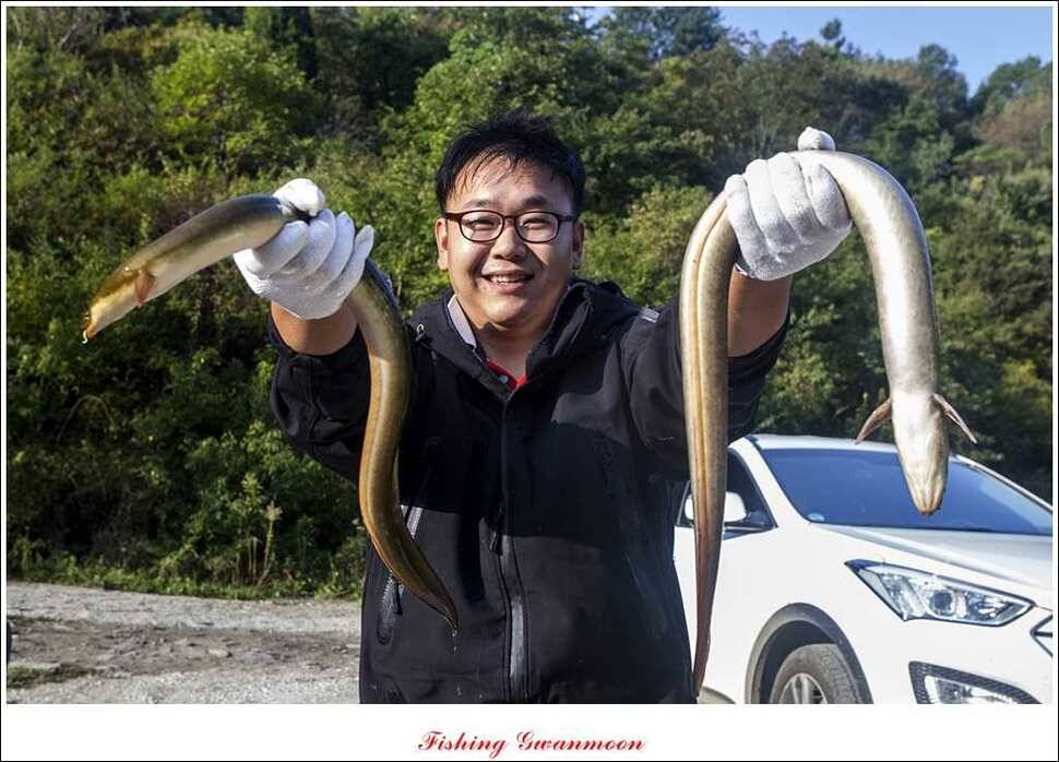 늘푸른 키로 장어소류지 월척실리곡 월척 (조황조행기 - 특파원조황)