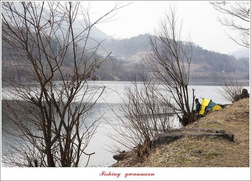 매전지 월척충주호 좌대노지 현황 (조황조행기 - 특파원조황)