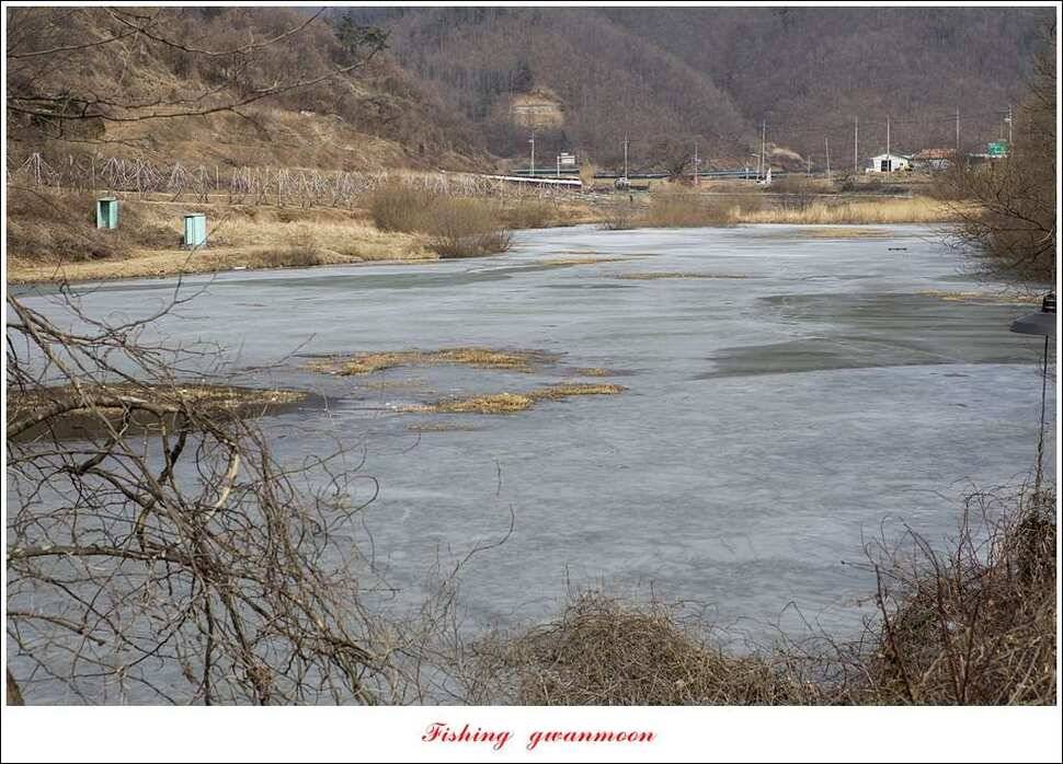 충주괴산권 물낚시 (조황조행기 - 특파원조황)