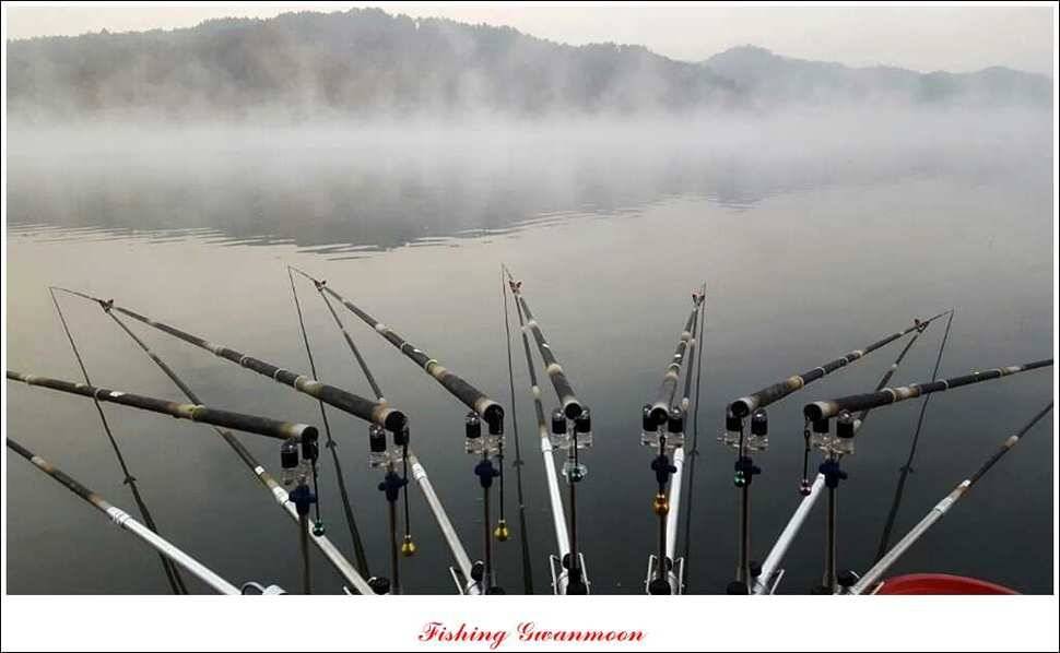 병호돌감한버들 월척 (조황조행기 - 특파원조황)