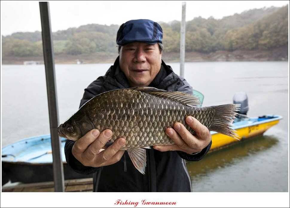 병호 사짜 윤 사짜 (조황조행기 - 특파원조황)
