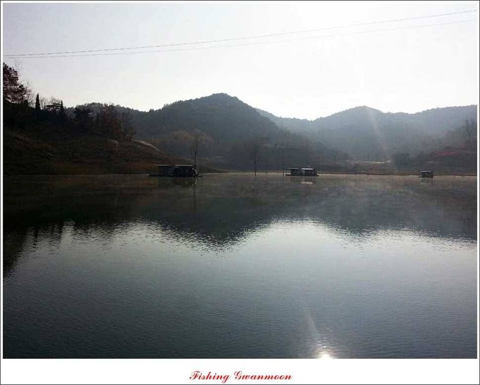 병호돌감한버들 월척 (조황조행기 - 특파원조황)