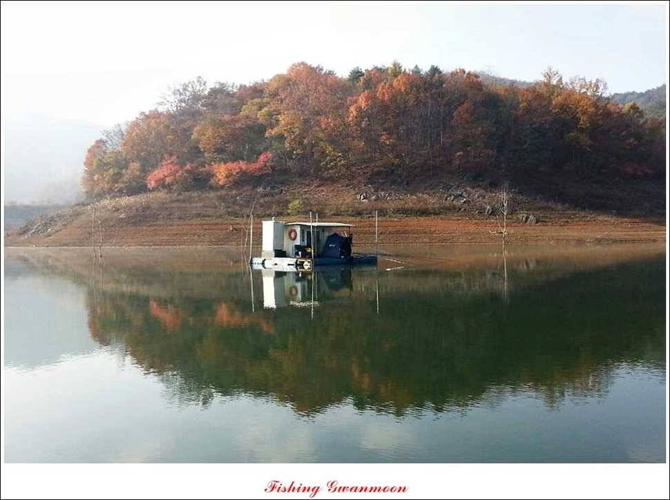 병호돌감한버들 월척 (조황조행기 - 특파원조황)