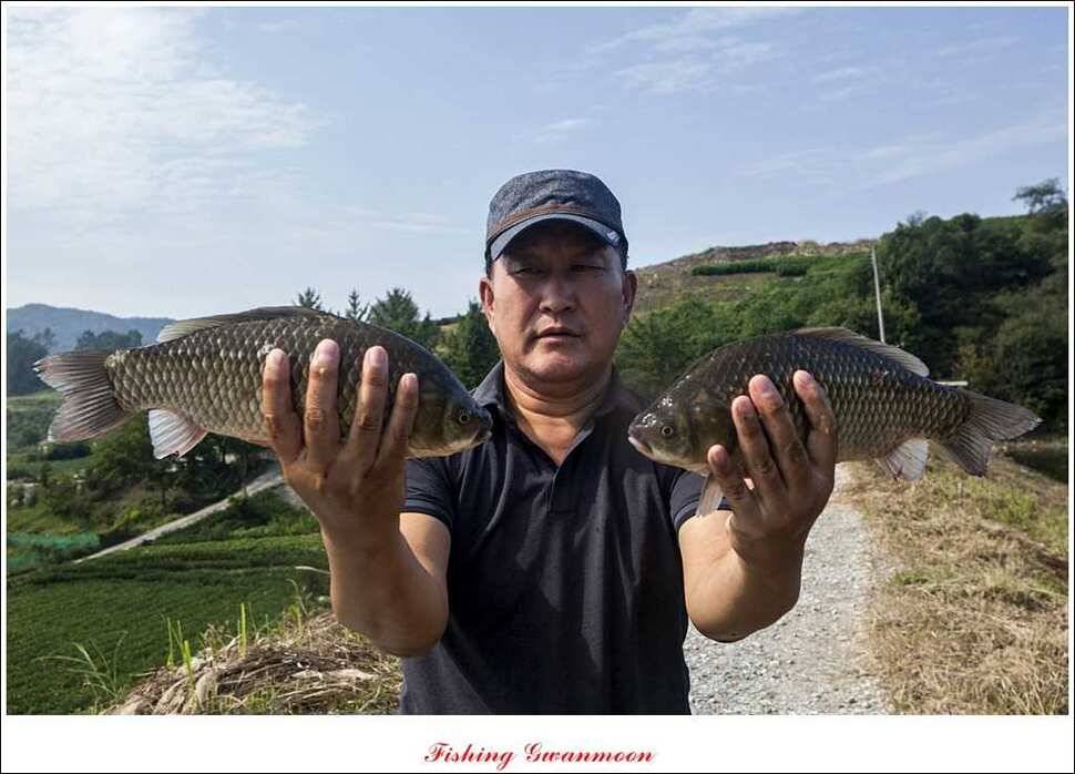 늘푸른 키로 장어소류지 월척실리곡 월척 (조황조행기 - 특파원조황)