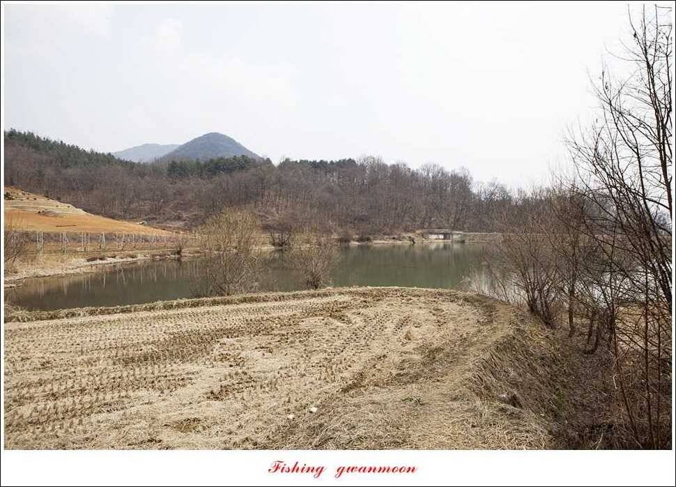 매전지 월척충주호 좌대노지 현황 (조황조행기 - 특파원조황)