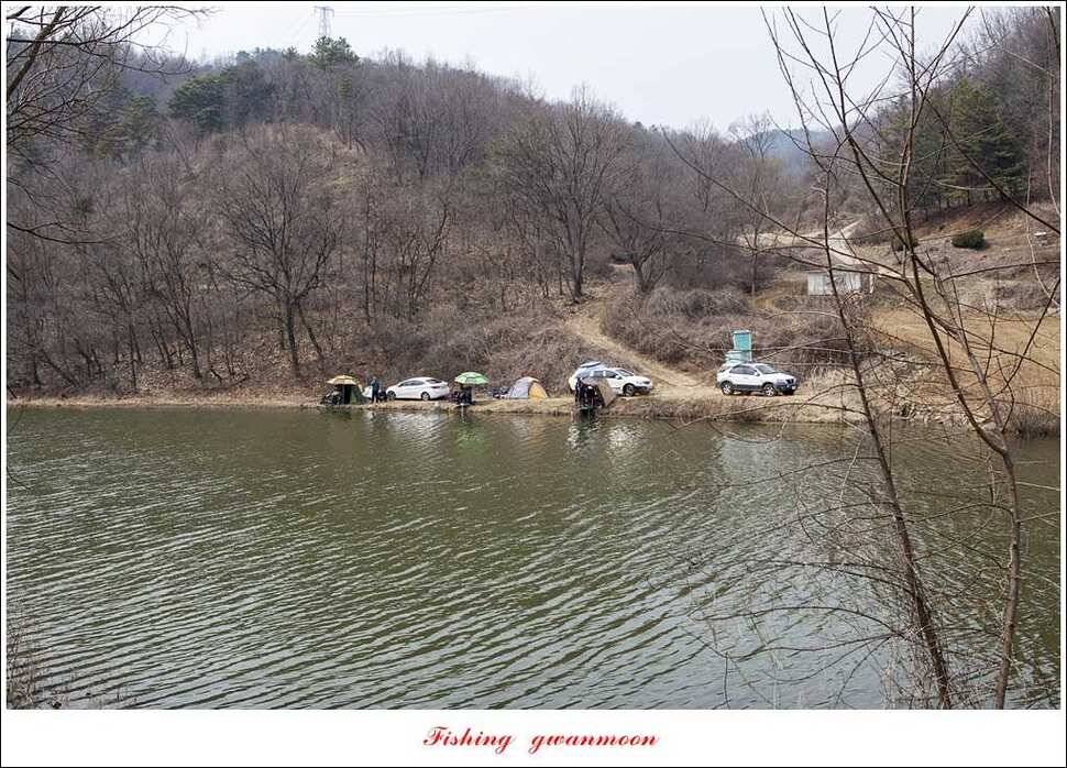 매전지 월척충주호 좌대노지 현황 (조황조행기 - 특파원조황)