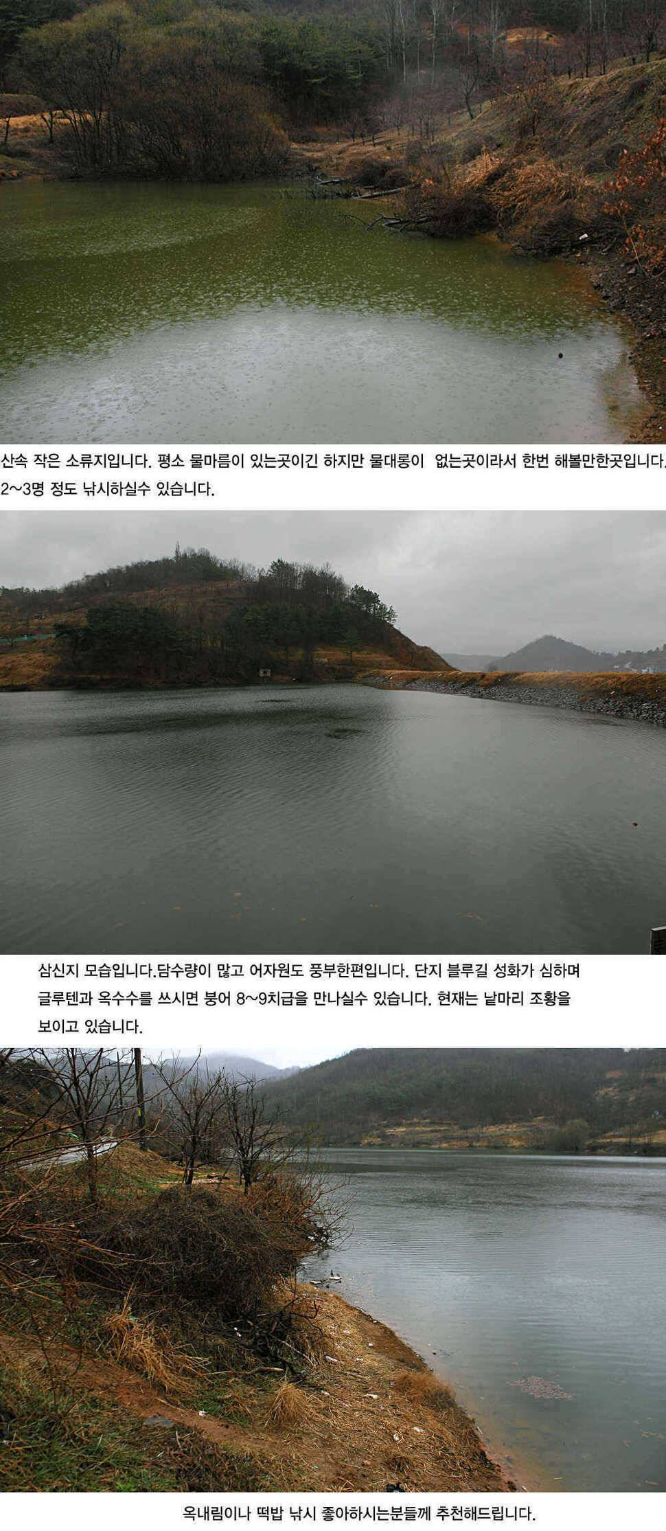 주중 청도권 조황정보 (조황조행기 - 특파원조황)