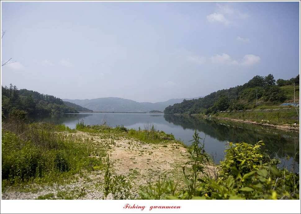 추평지 사짜병호 38 cm돌감한버들 실리곡 월척 조황 (조황조행기 - 특파원조황)