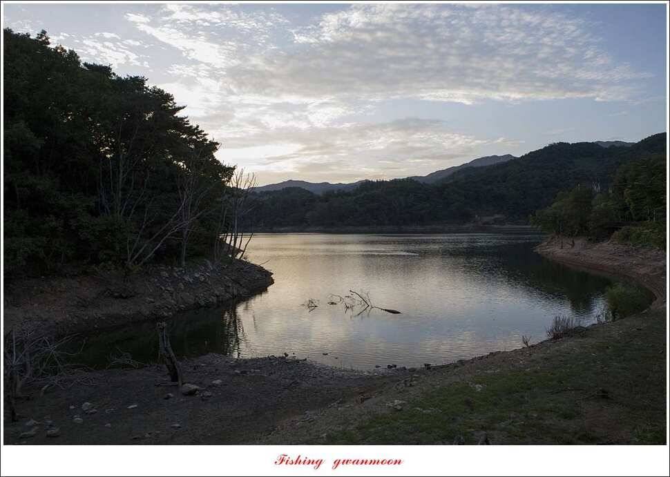 청풍 신리 월척 및 마릿수 조황돌감좌대 육초 작업 (조황조행기 - 특파원조황)
