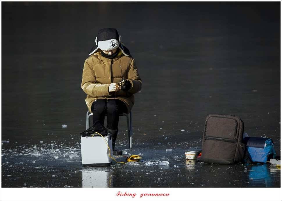 충주호 물낚시와 빙어 낚시 조황 (조황조행기 - 특파원조황)