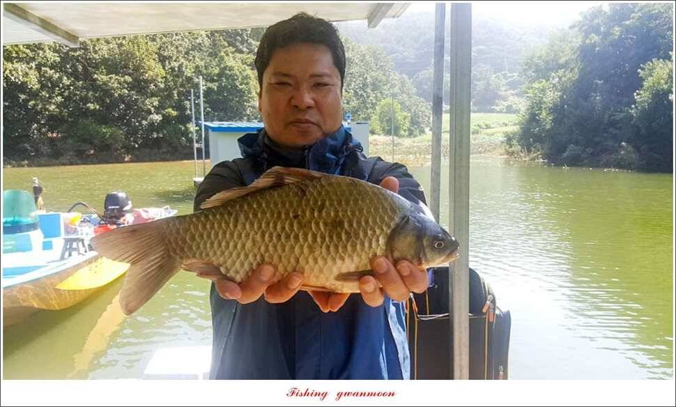 종점청풍 신리소이지 43 cm매전지 조황 (조황조행기 - 특파원조황)