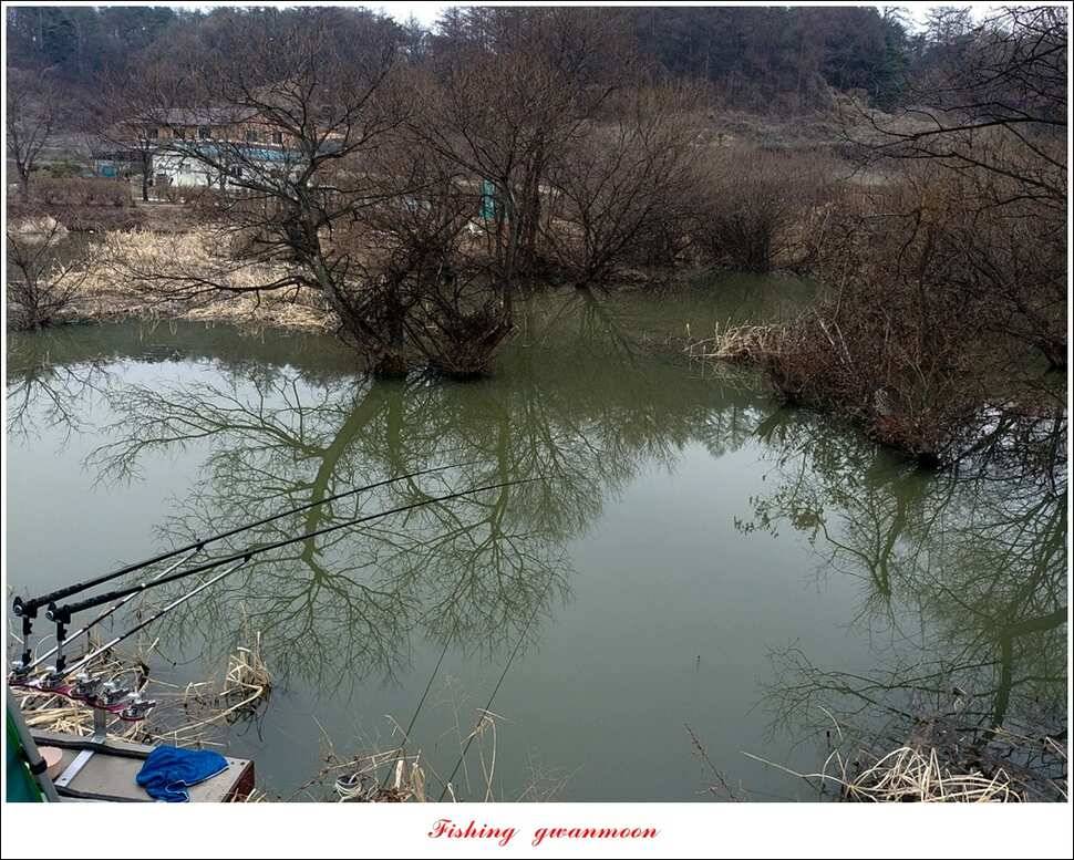 칠성지화곡지매전지추산지 현황 (조황조행기 - 특파원조황)