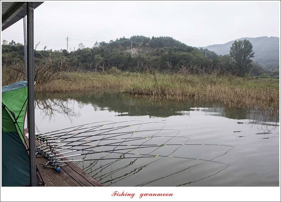 늘푸른실리곡한버들노지 조황 (조황조행기 - 특파원조황)