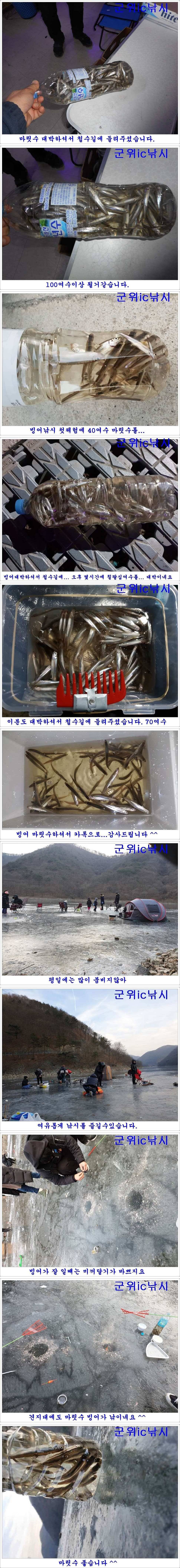 경북빙어낚시 대박조황 (조황조행기 - 특파원조황)